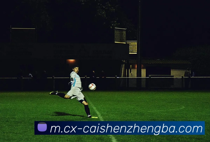 彩神争霸平台生态图